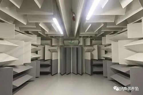 完整聲學極簡史 從共鳴到消聲室