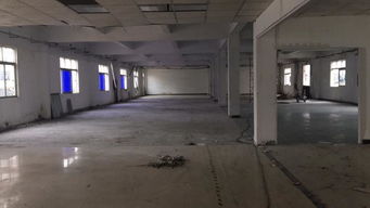 光明合水口工業區新出樓上小面積廠房，450平帶精裝修辦公室出租